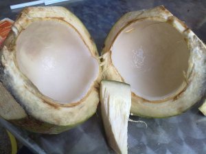 Coconut into half
